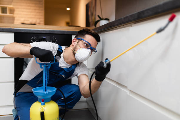 Best Wildlife Control Services  in Manchester, OH