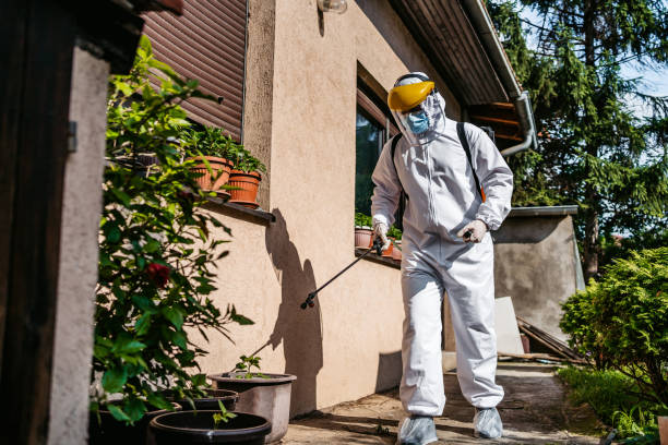 Best Mosquito Control Services  in Manchester, OH