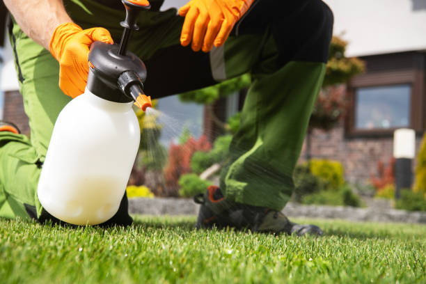 Best Flea Control Services  in Manchester, OH
