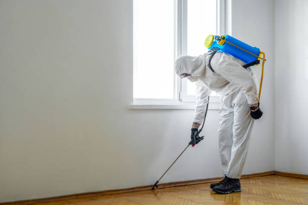Best Affordable Pest Control Services  in Manchester, OH