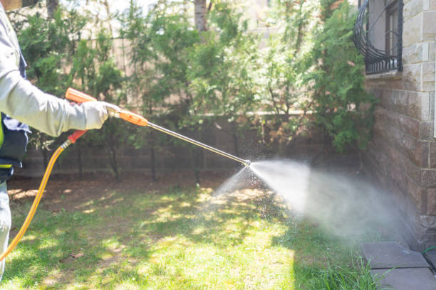 Best Pest Inspection Near Me  in Manchester, OH