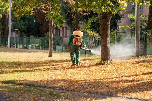 Best Pest Prevention Services  in Manchester, OH