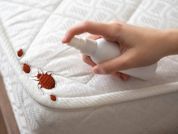 Trusted Manchester, OH Pest Control Experts