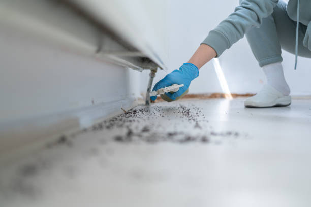 Best Bed Bug Extermination  in Manchester, OH