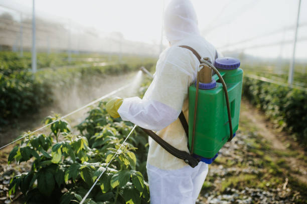 Best Residential Pest Control  in Manchester, OH